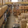 erp case studies